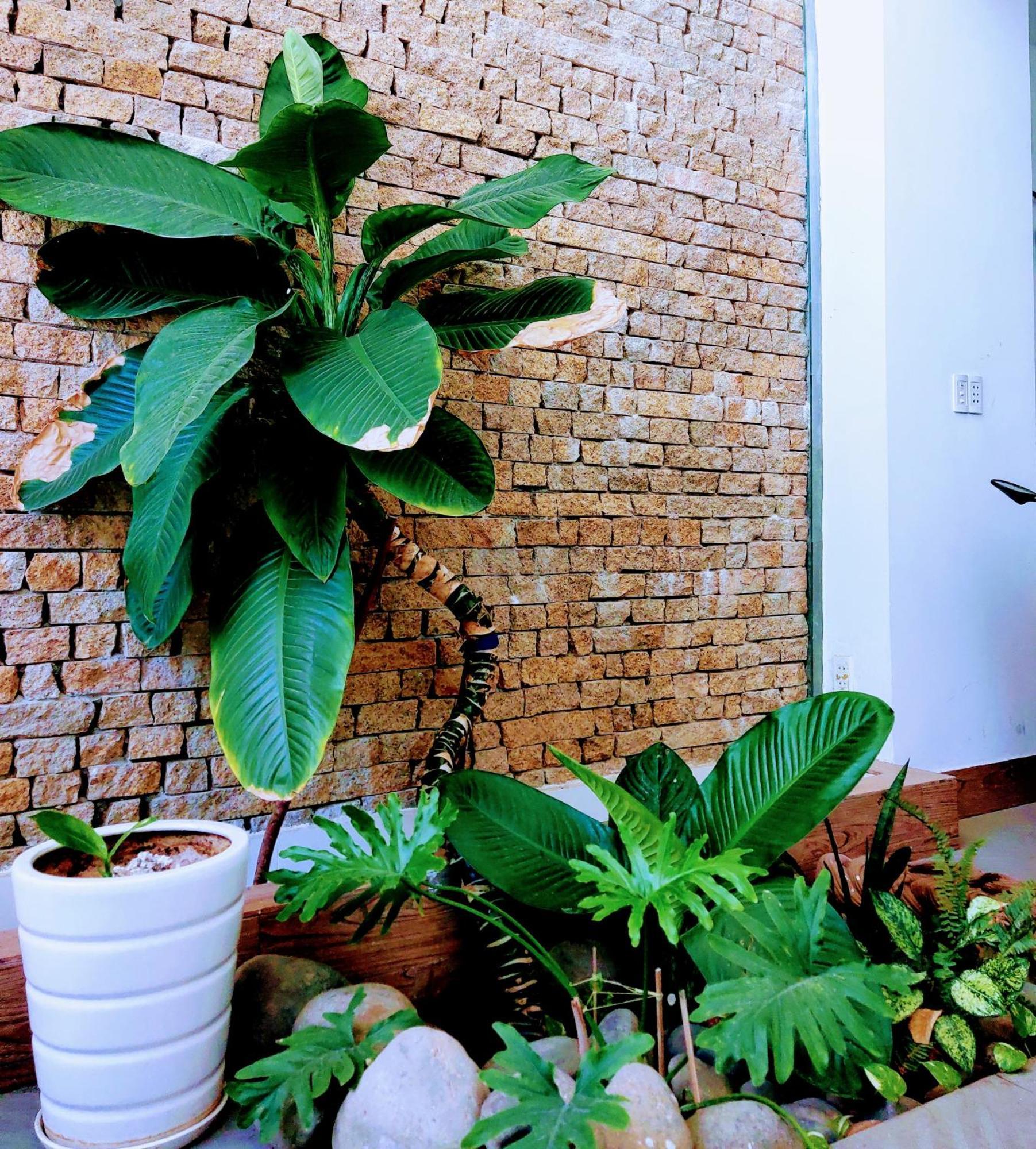 Nap Homestay Kinh Dinh Εξωτερικό φωτογραφία